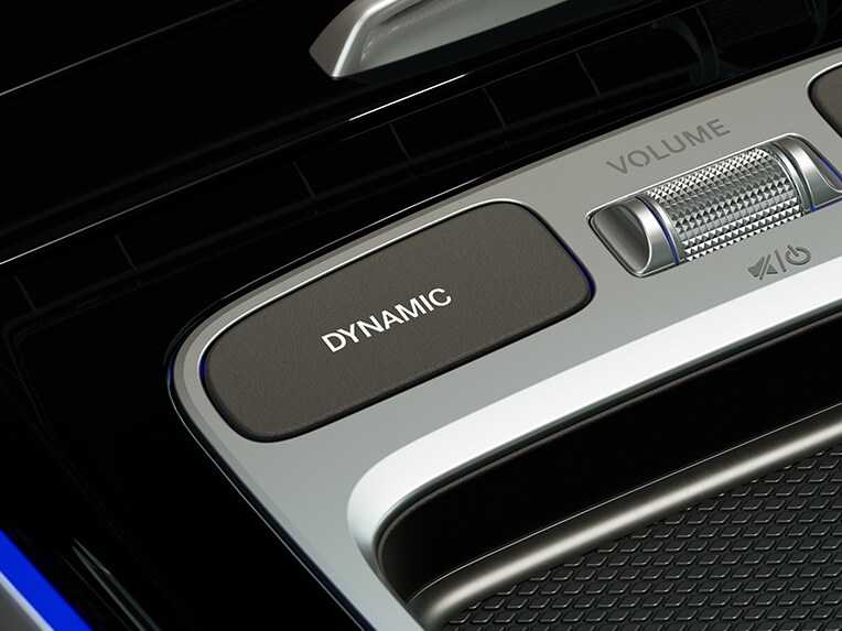 O reprezentare a sistemului DYNAMIC SELECT.