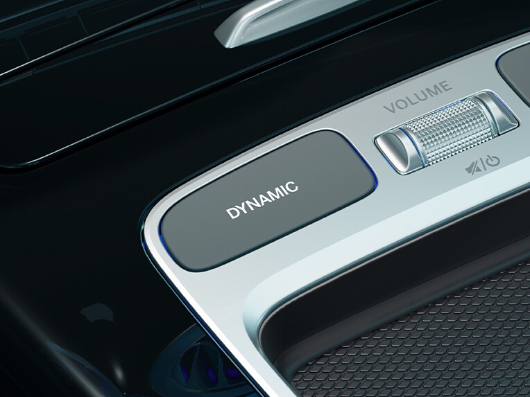 O reprezentare a sistemului DYNAMIC SELECT.