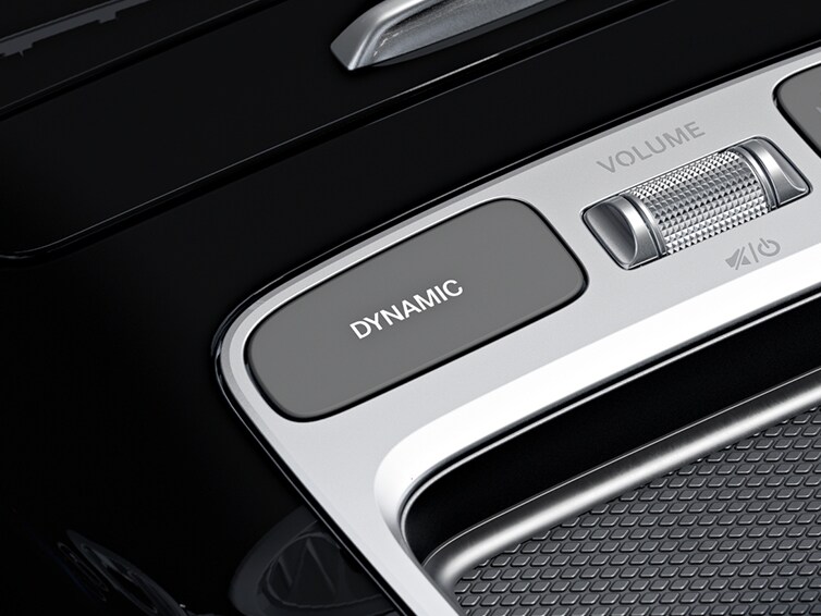 O reprezentare a sistemului DYNAMIC SELECT.
